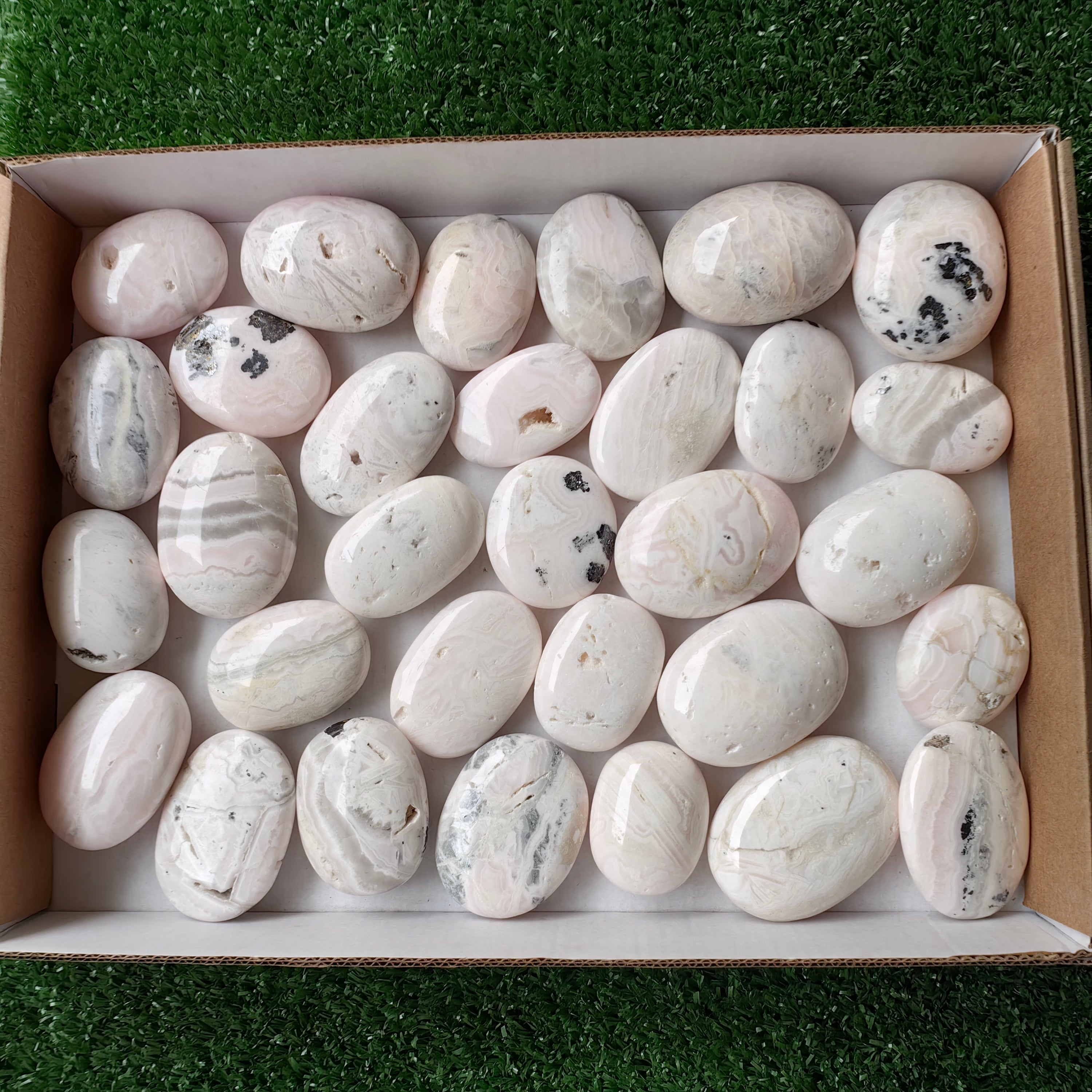31 pc mangano calcite palm