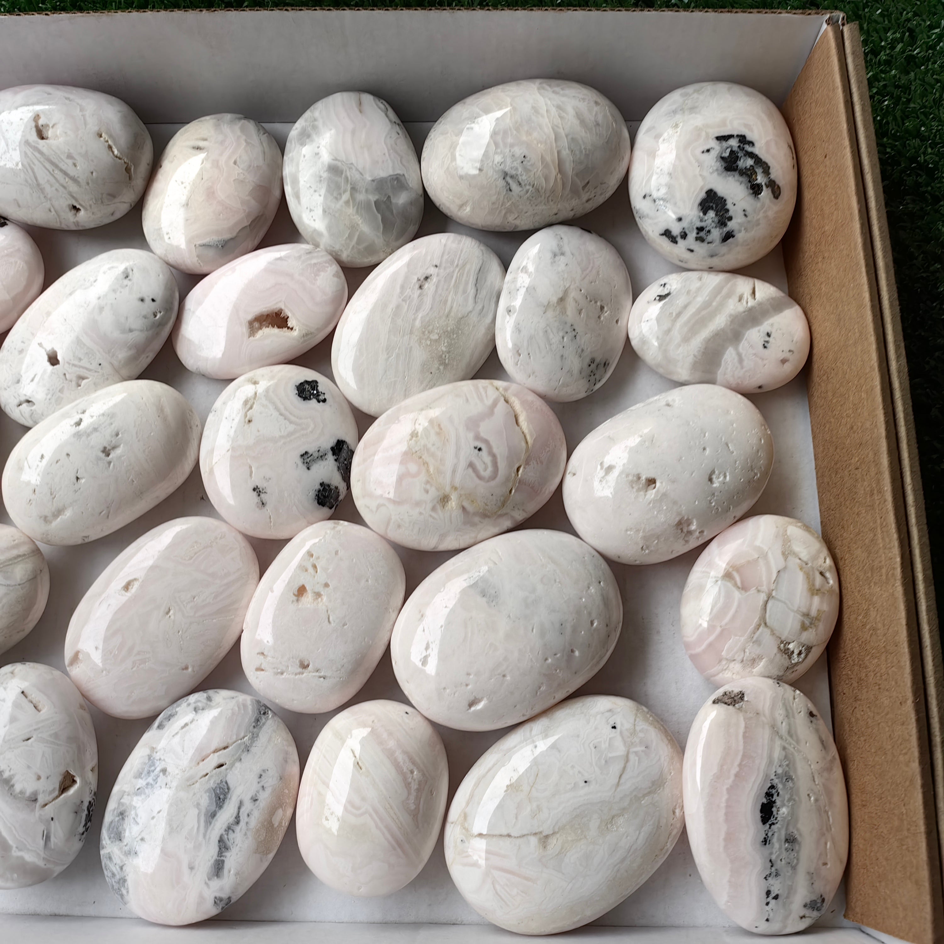 31 pc mangano calcite palm