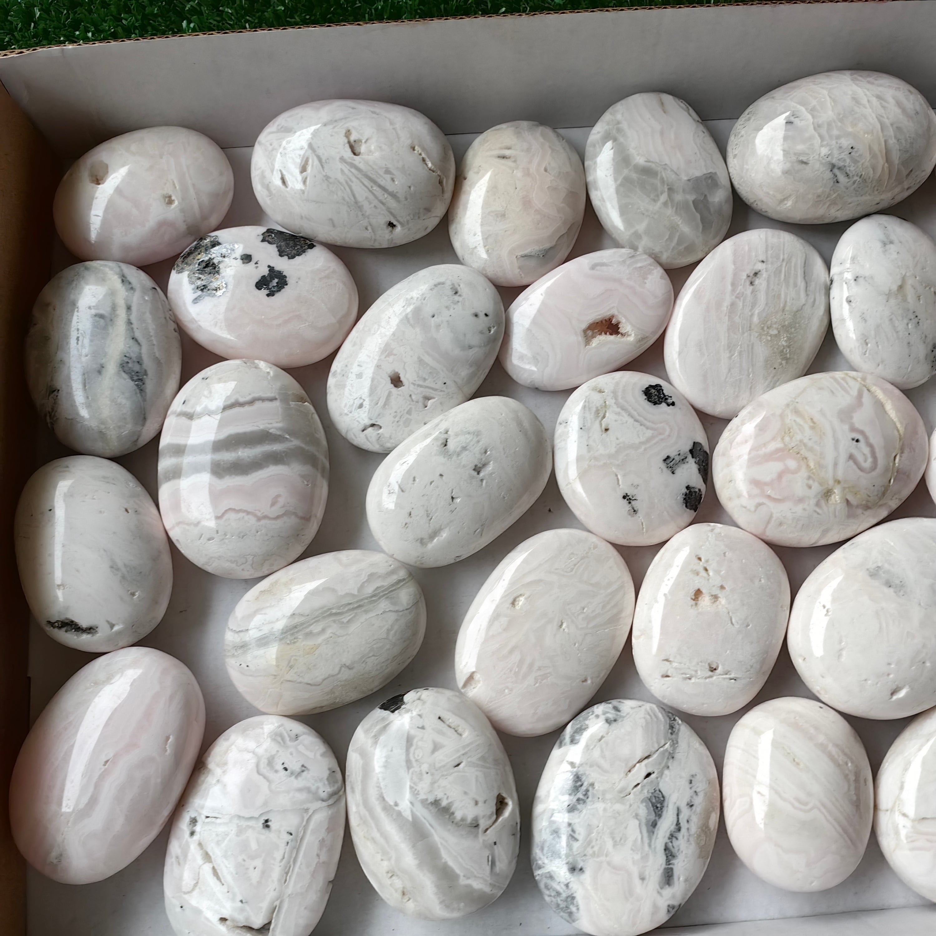 31 pc mangano calcite palm