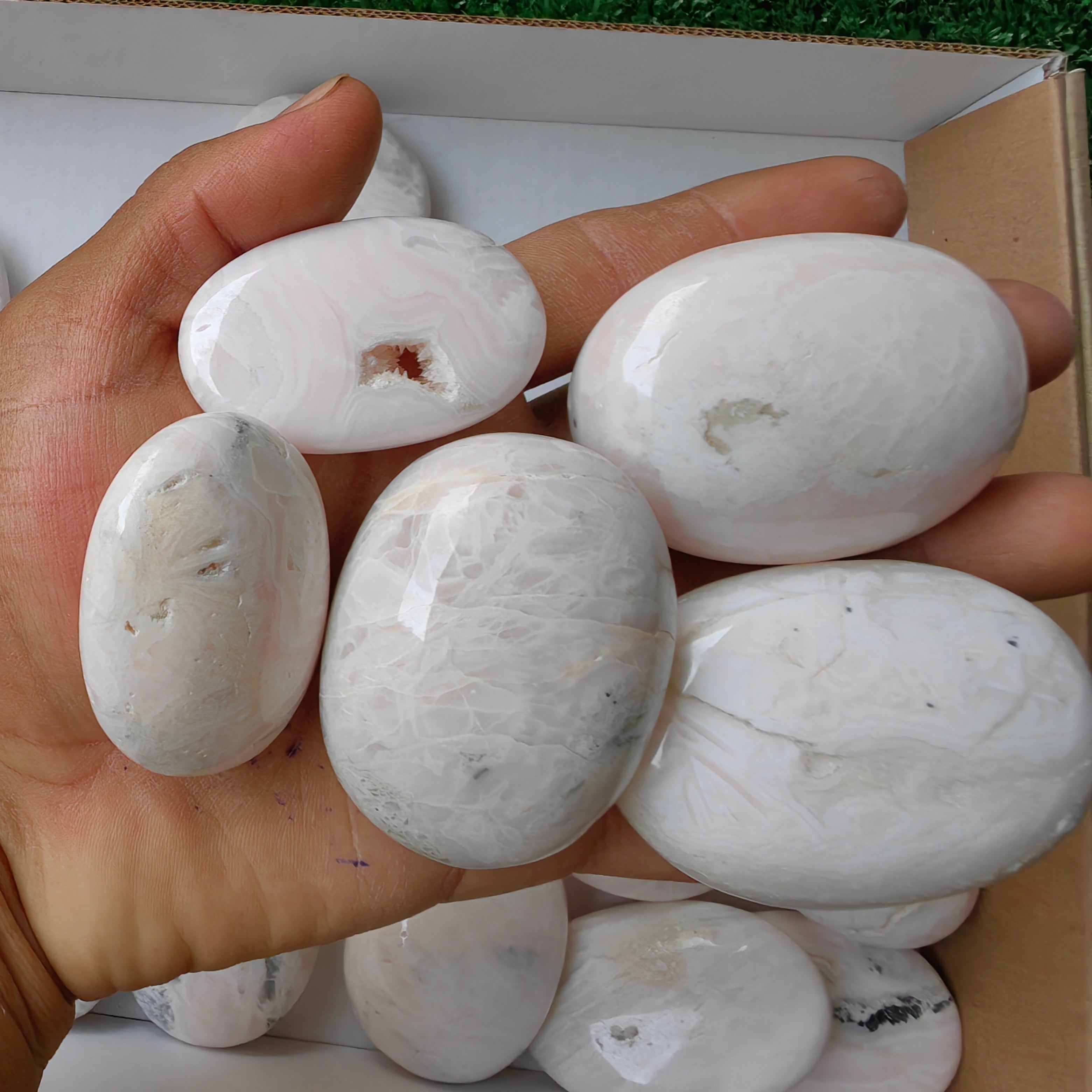 31 pc mangano calcite palm