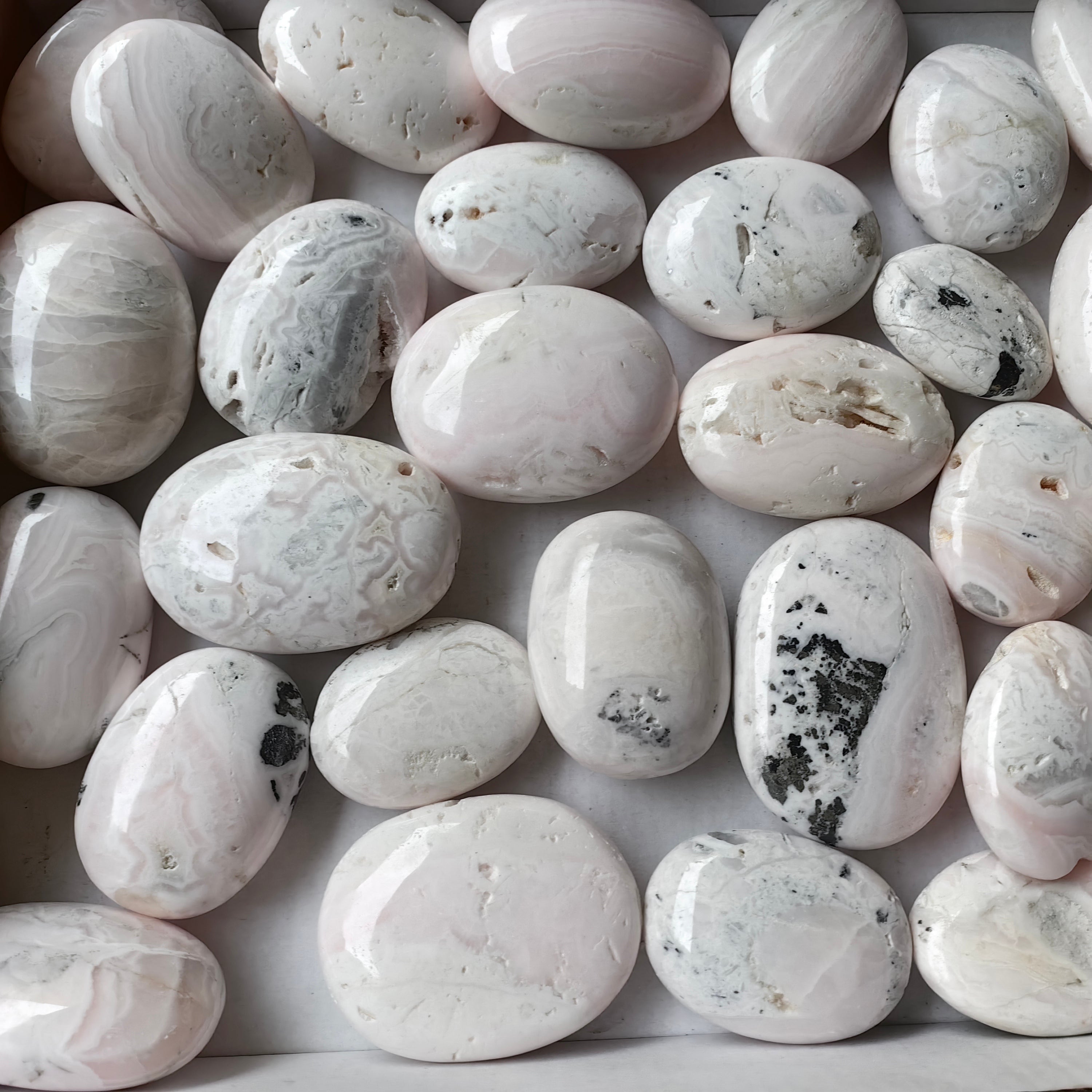 33 pc mangano calcite palm