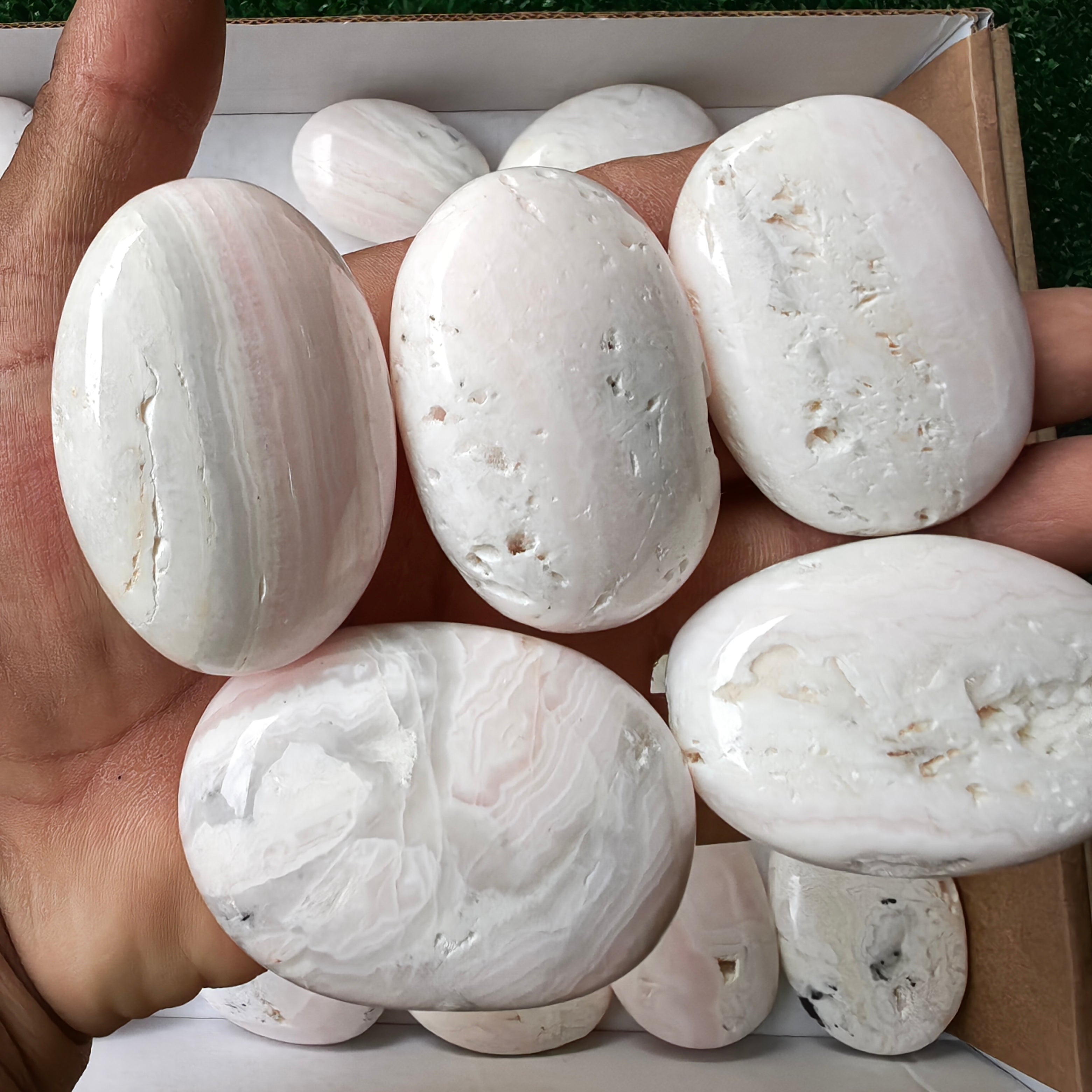 33 pc mangano calcite palm