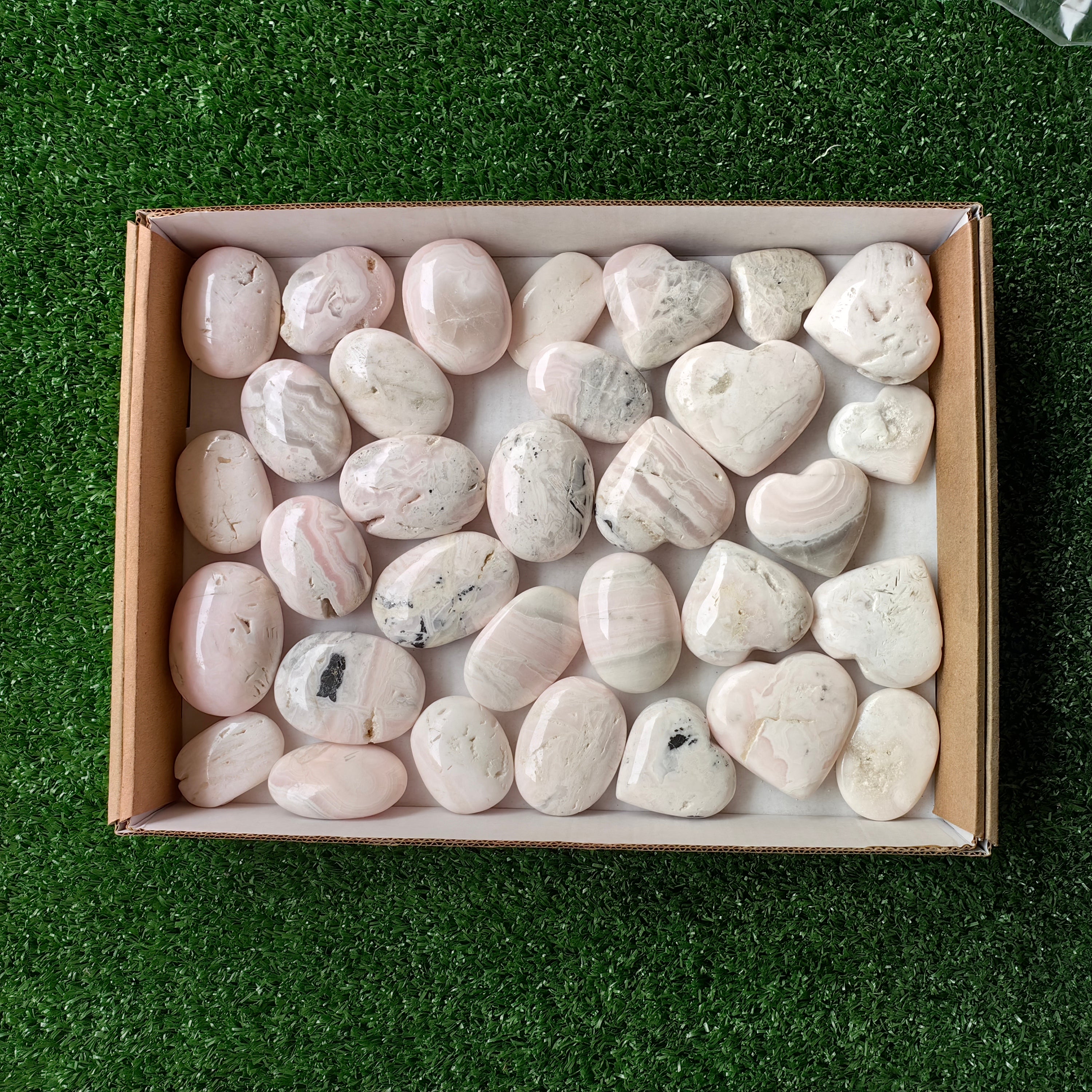 32 pc mangano calcite palms & hearts