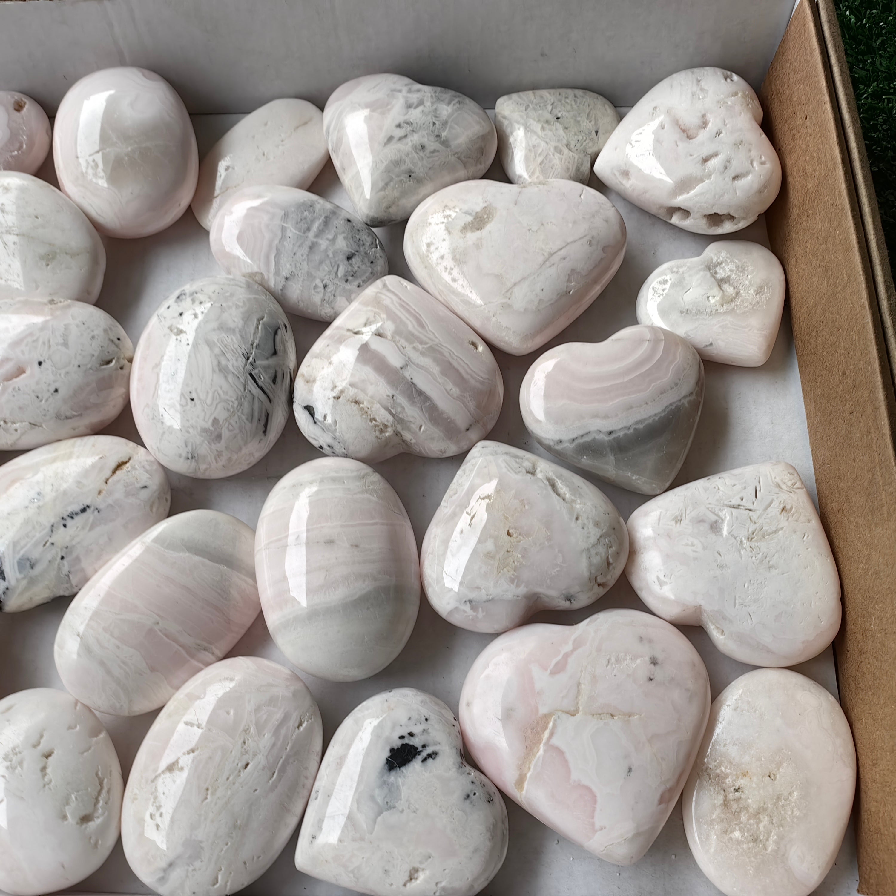 32 pc mangano calcite palms & hearts