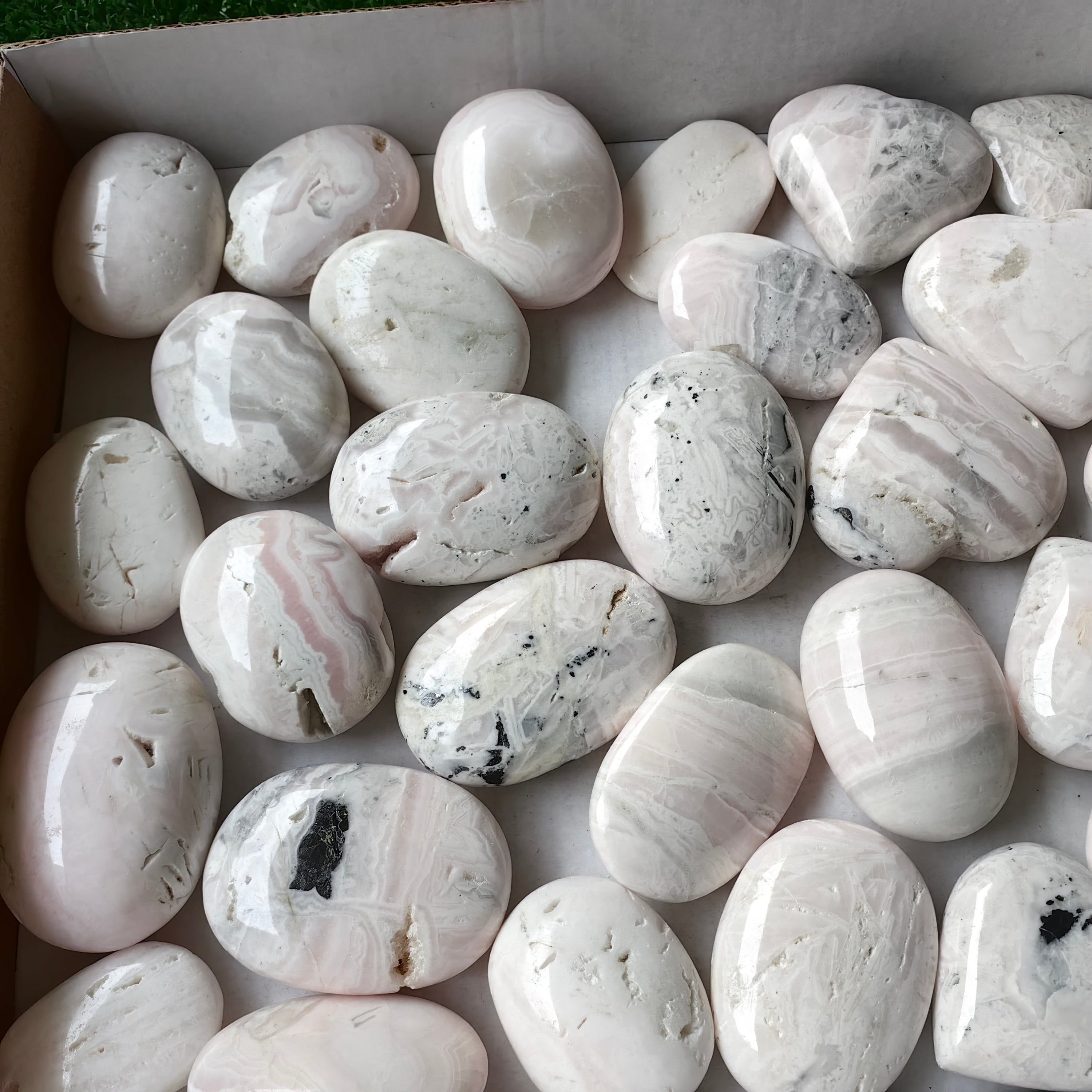 32 pc mangano calcite palms & hearts