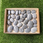 30 pc angelite palms