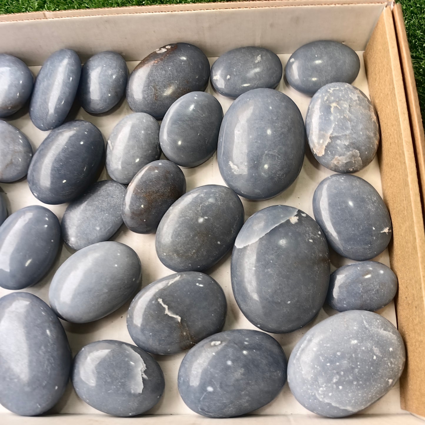 30 pc angelite palms