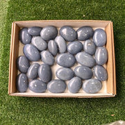 27 pc angelite palms
