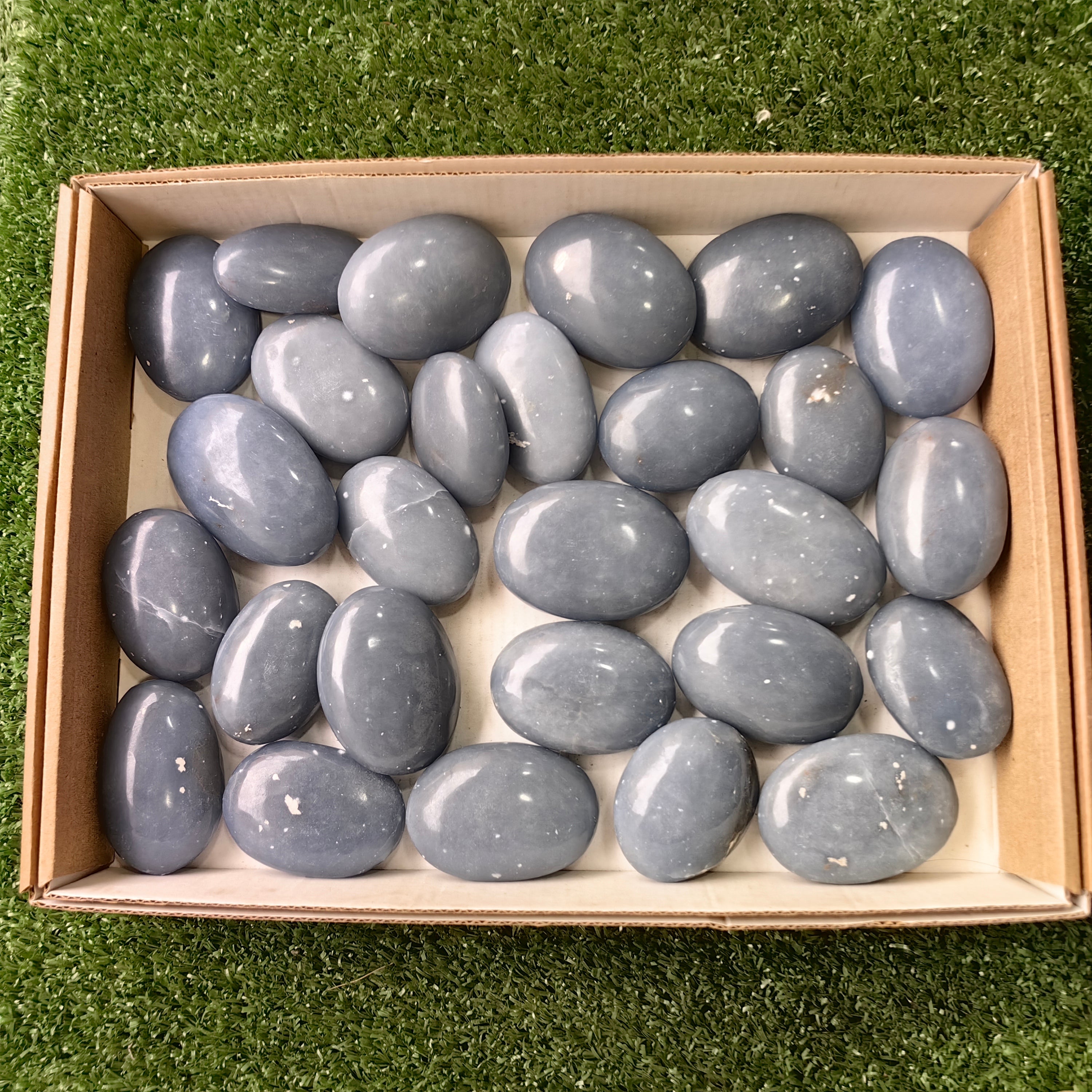 27 pc angelite palms