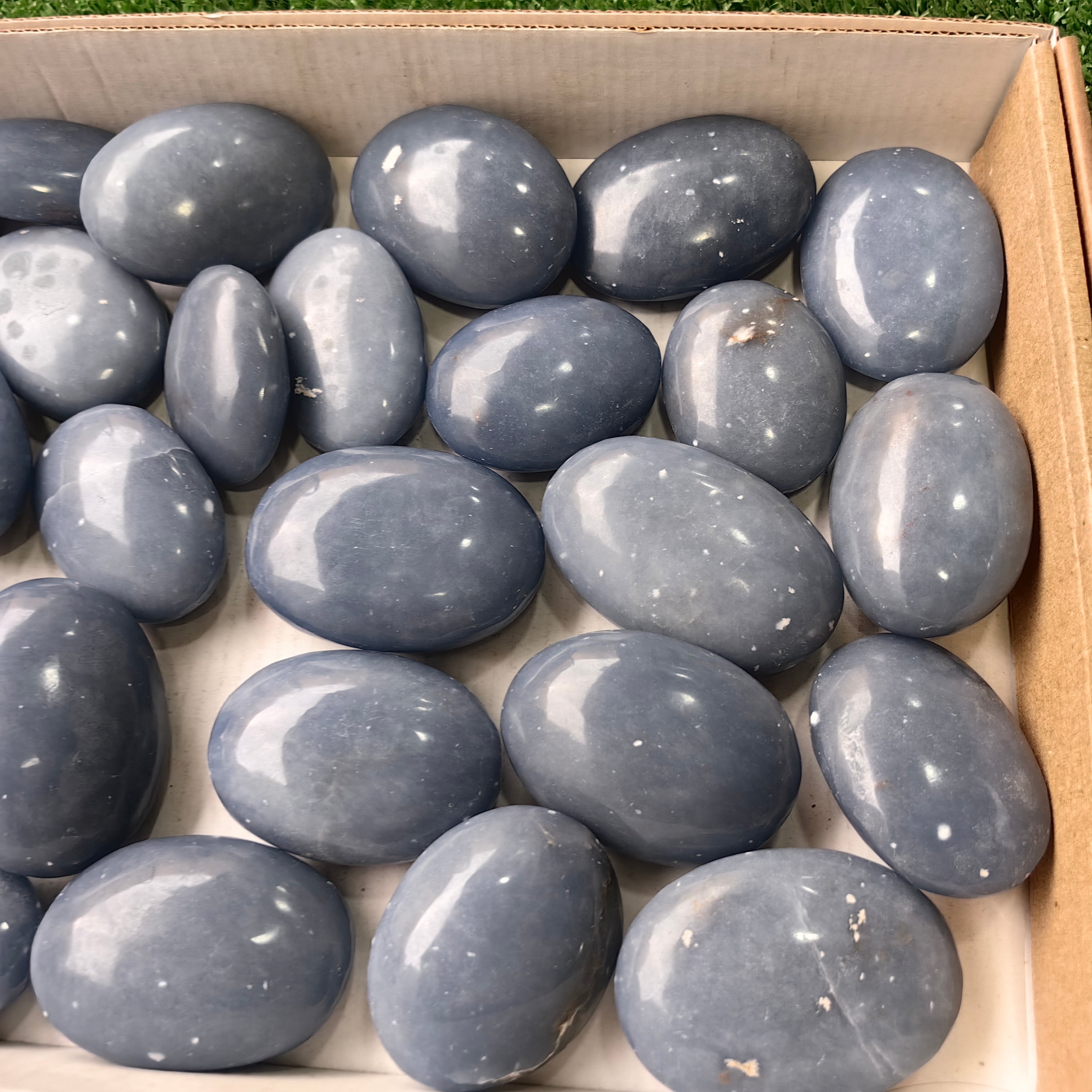 27 pc angelite palms
