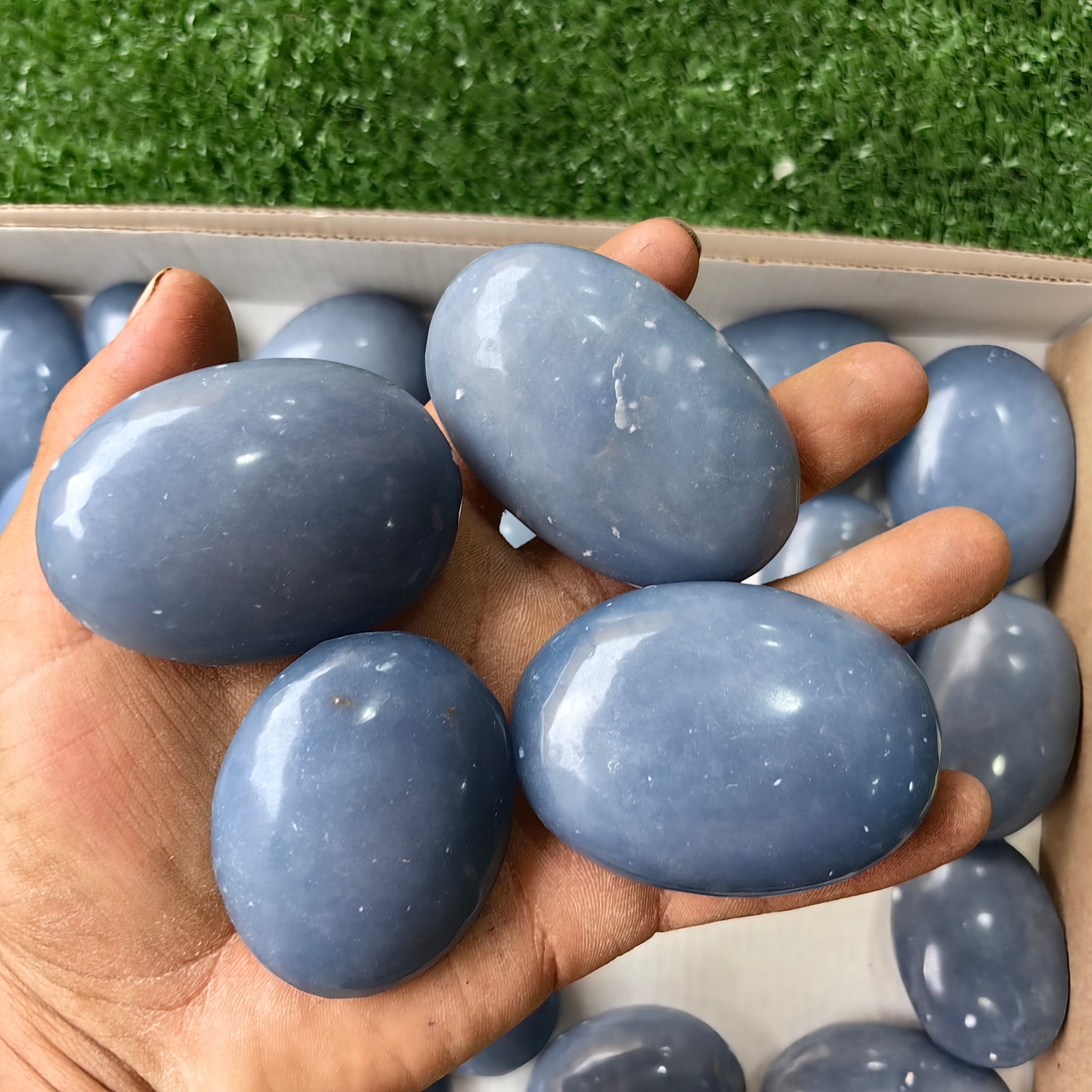27 pc angelite palms