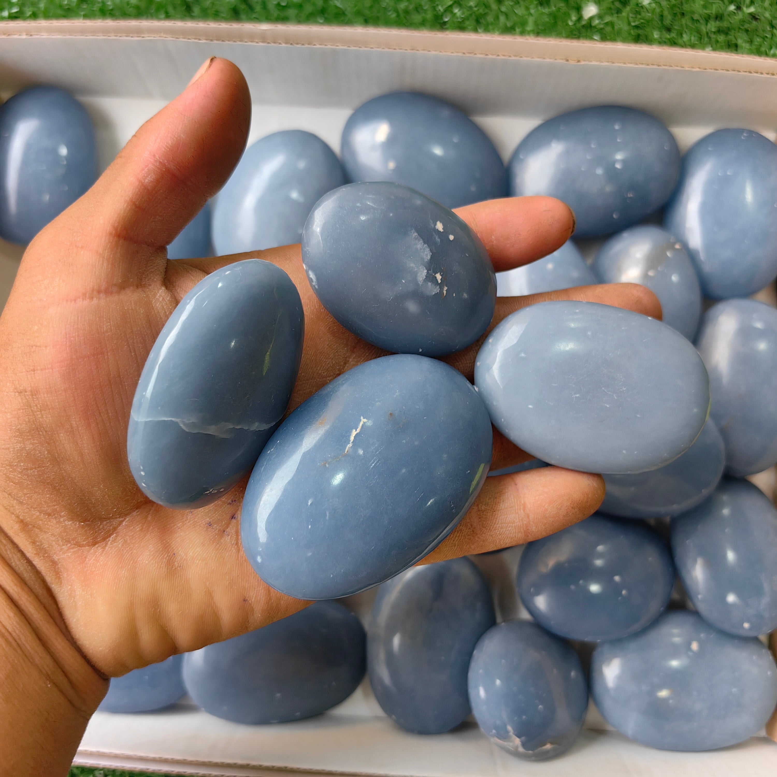 27 pc angelite palms