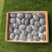 27 pc angelite palms