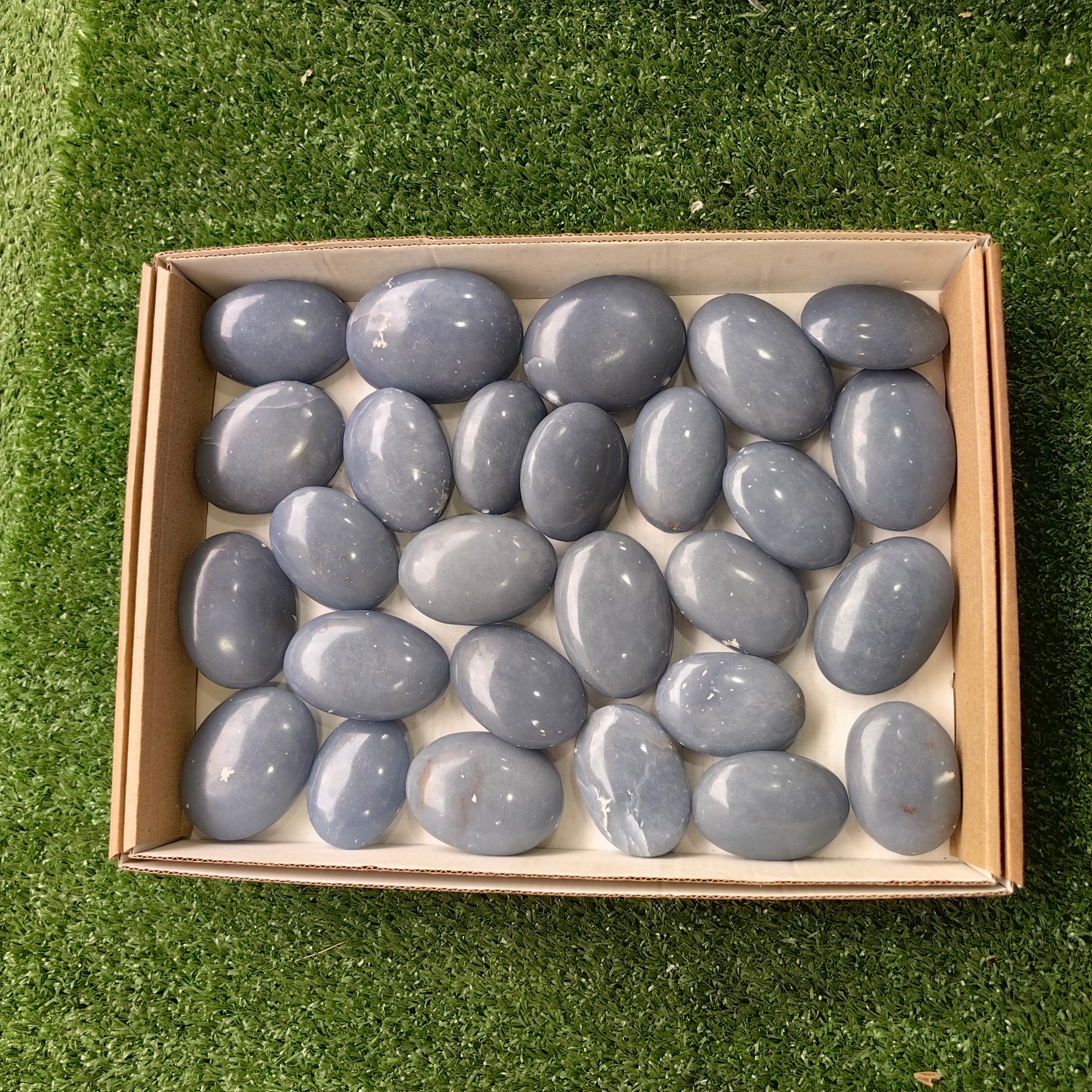27 pc angelite palms