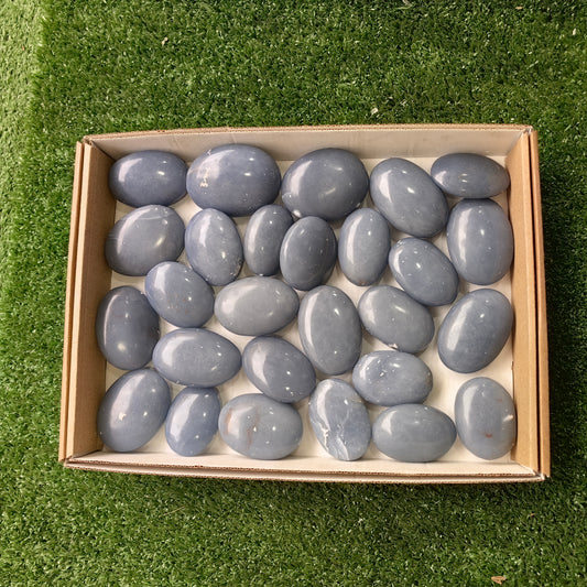 27 pc angelite palms
