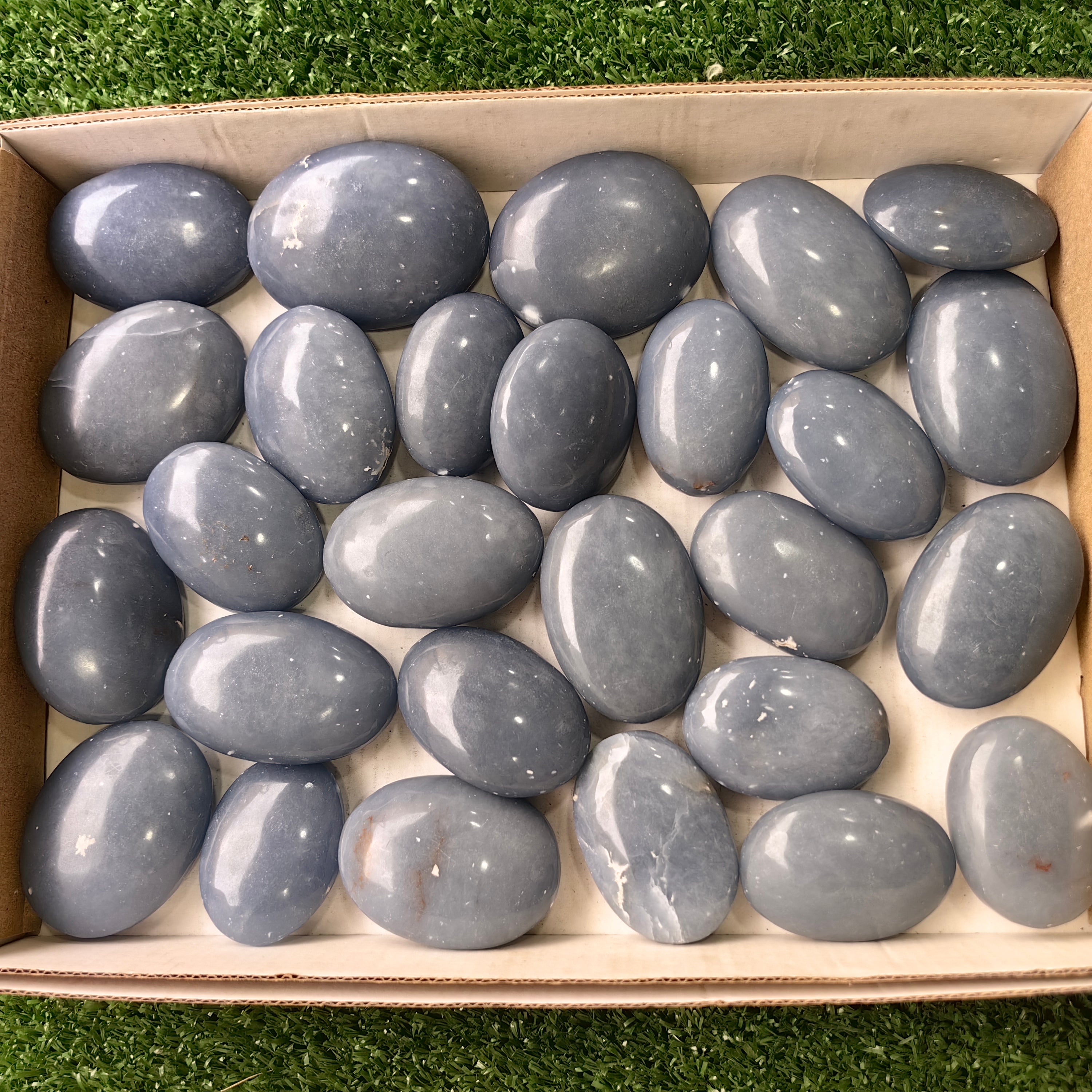 27 pc angelite palms