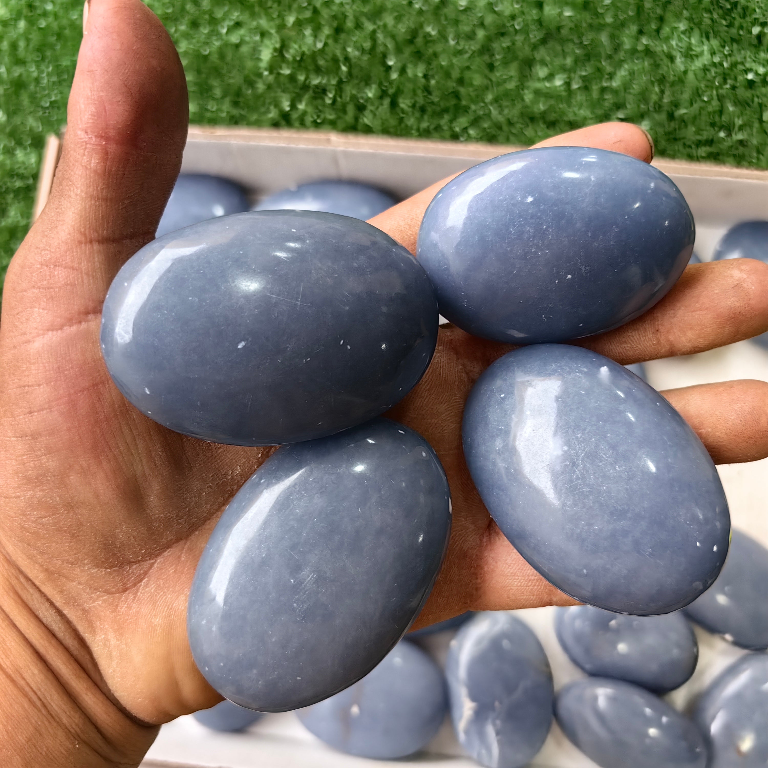 27 pc angelite palms