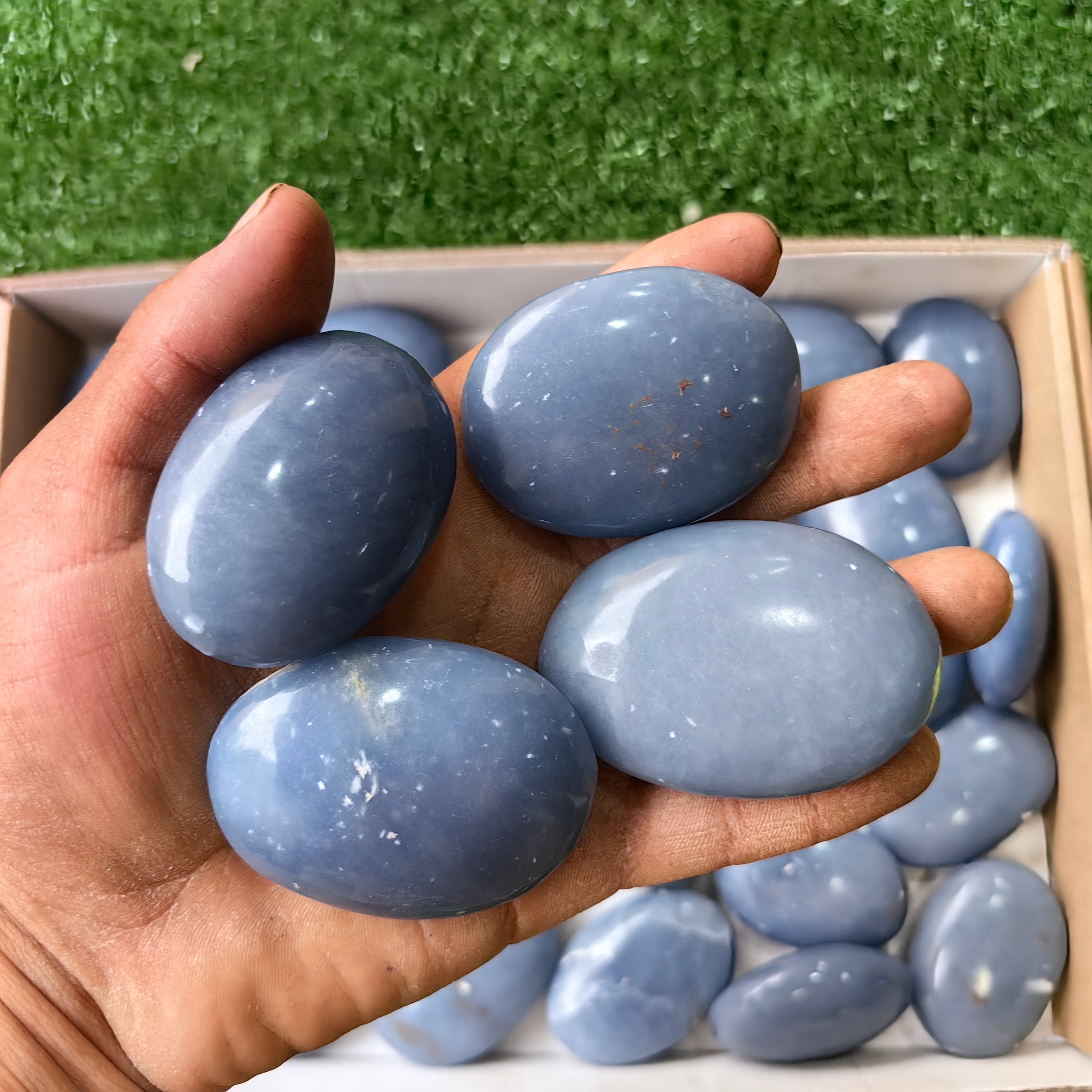27 pc angelite palms