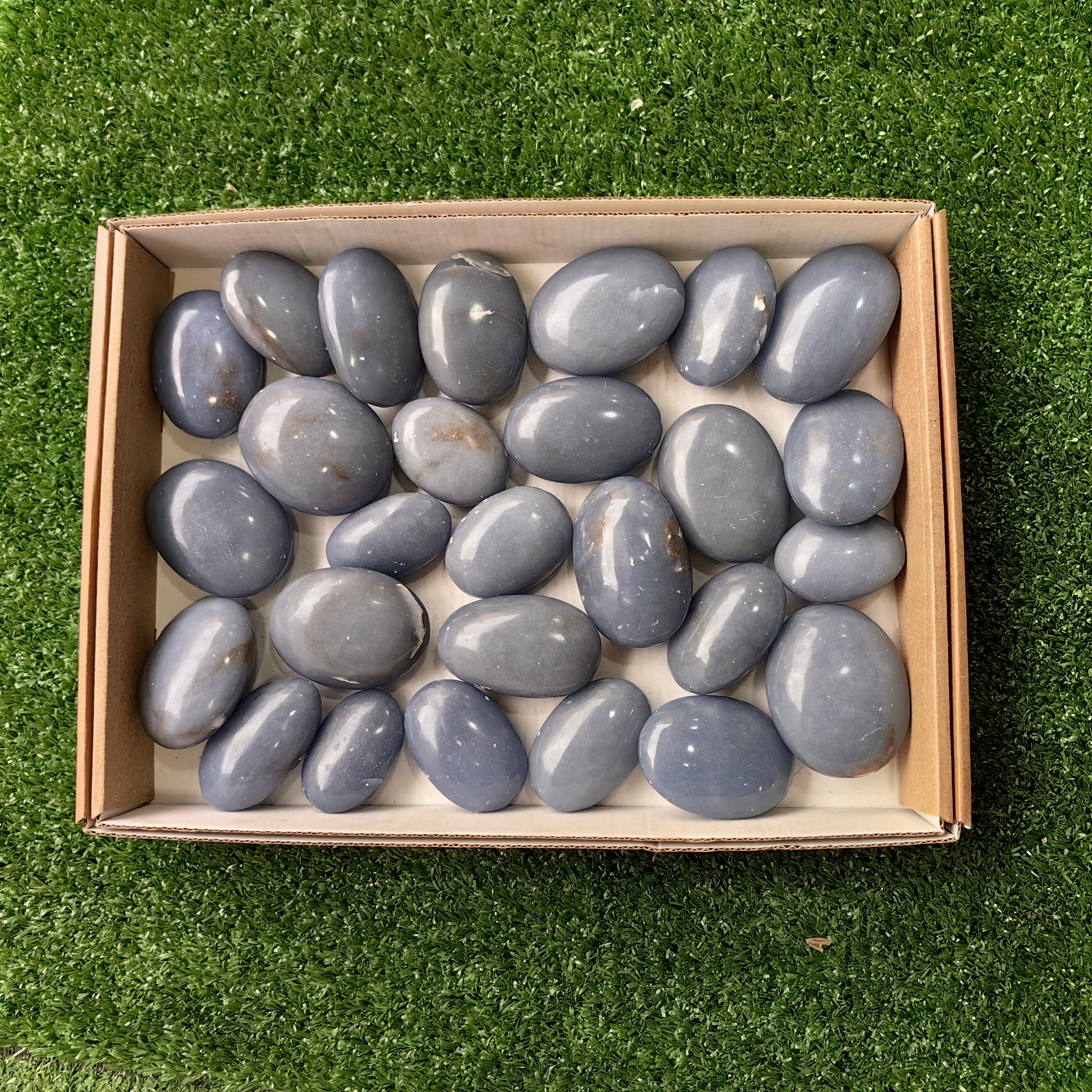 27 pc angelite palms