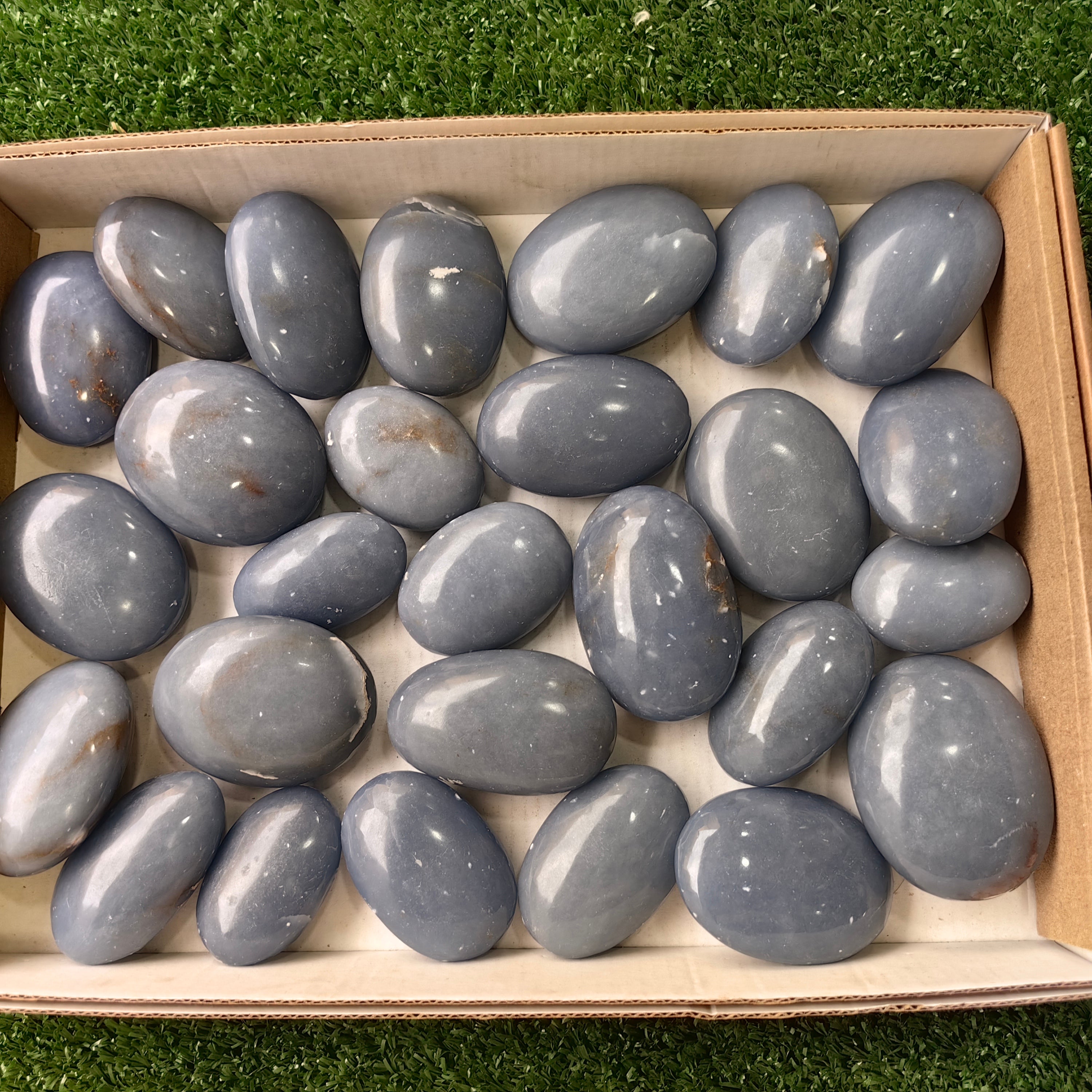 27 pc angelite palms