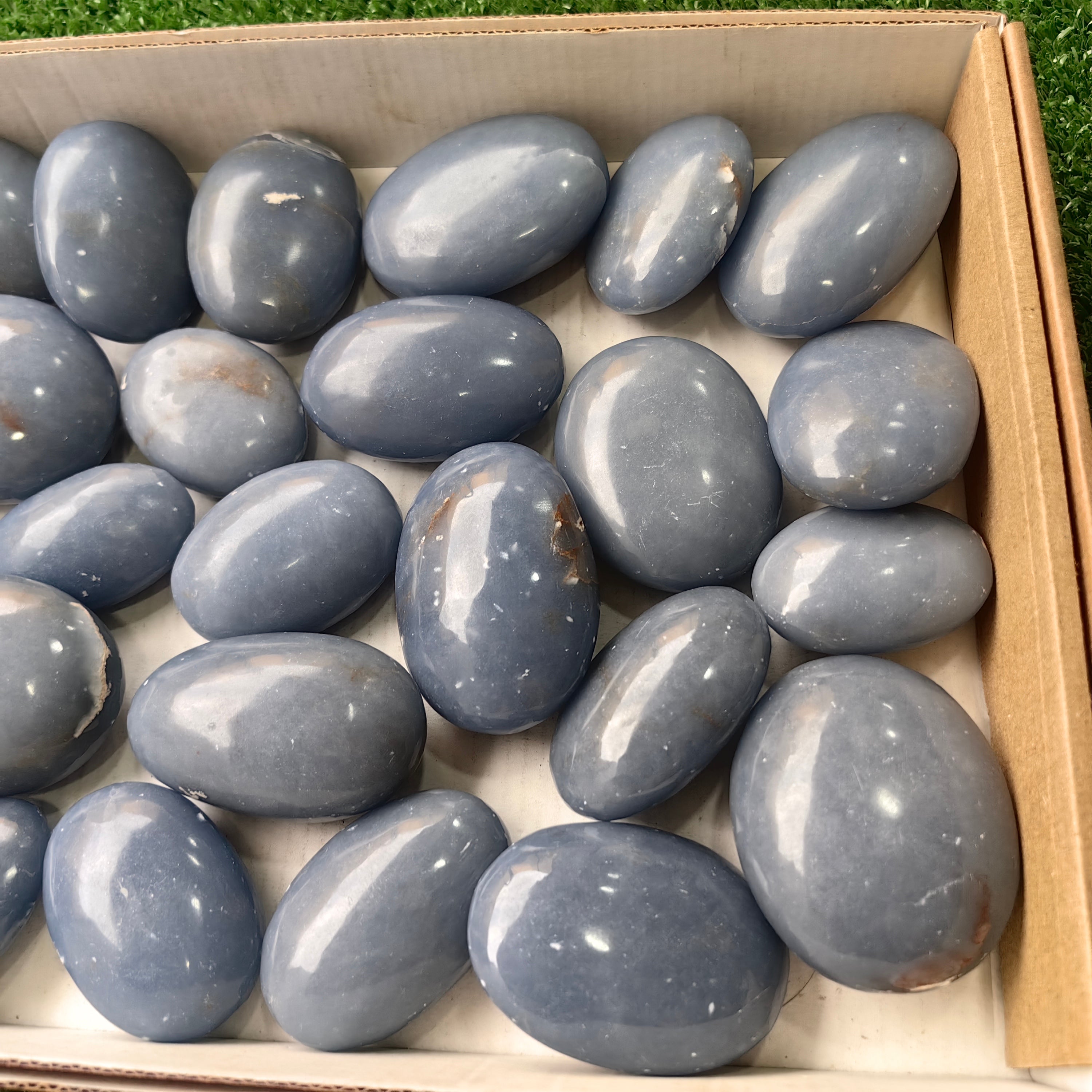 27 pc angelite palms