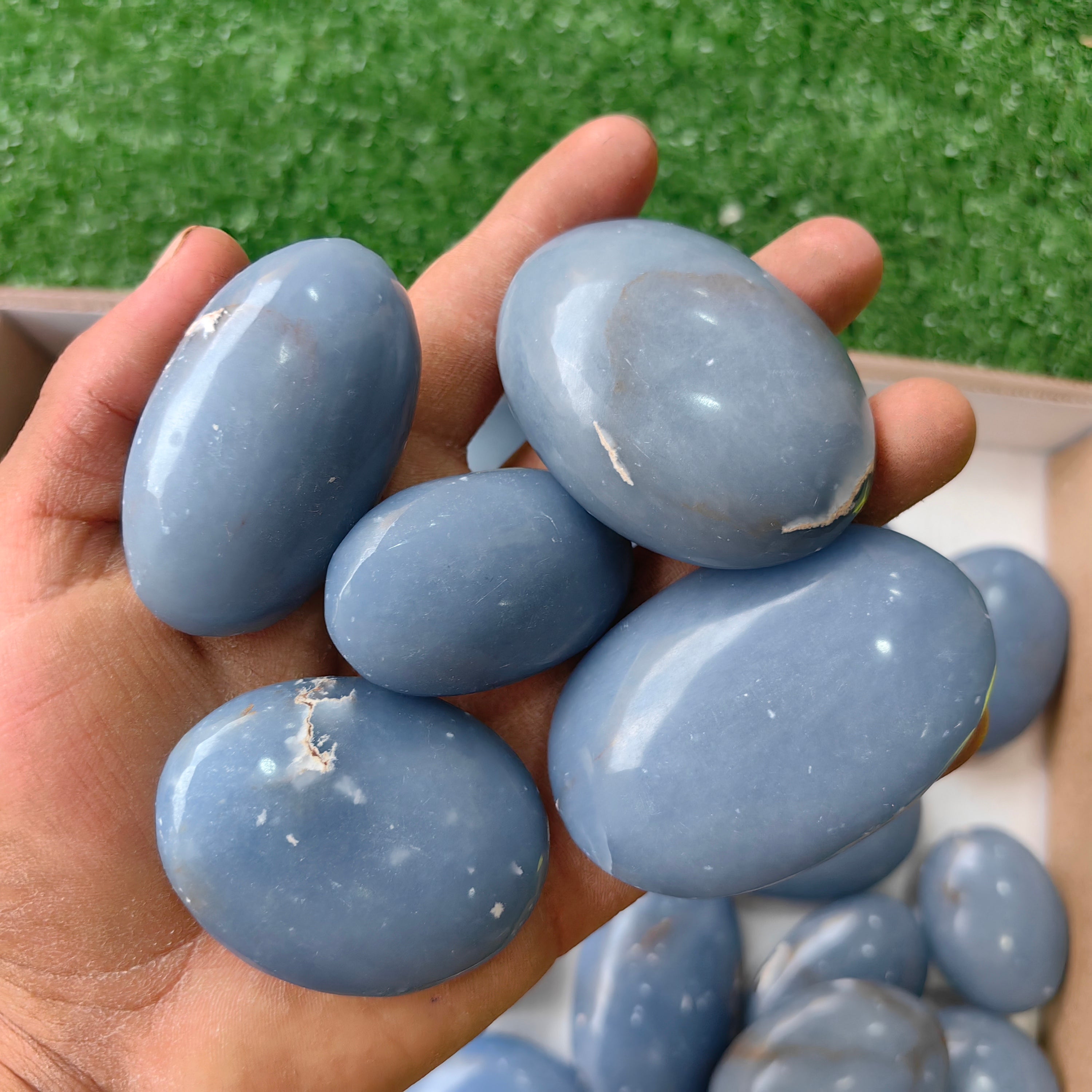 27 pc angelite palms