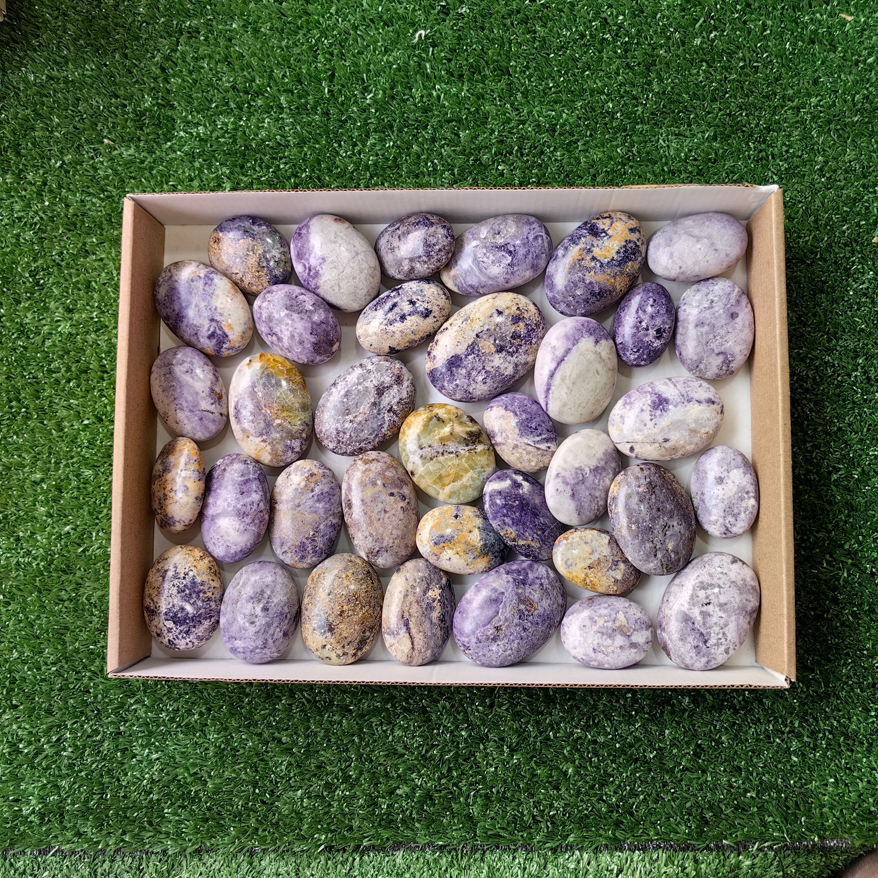 36 pc bolivianite palm