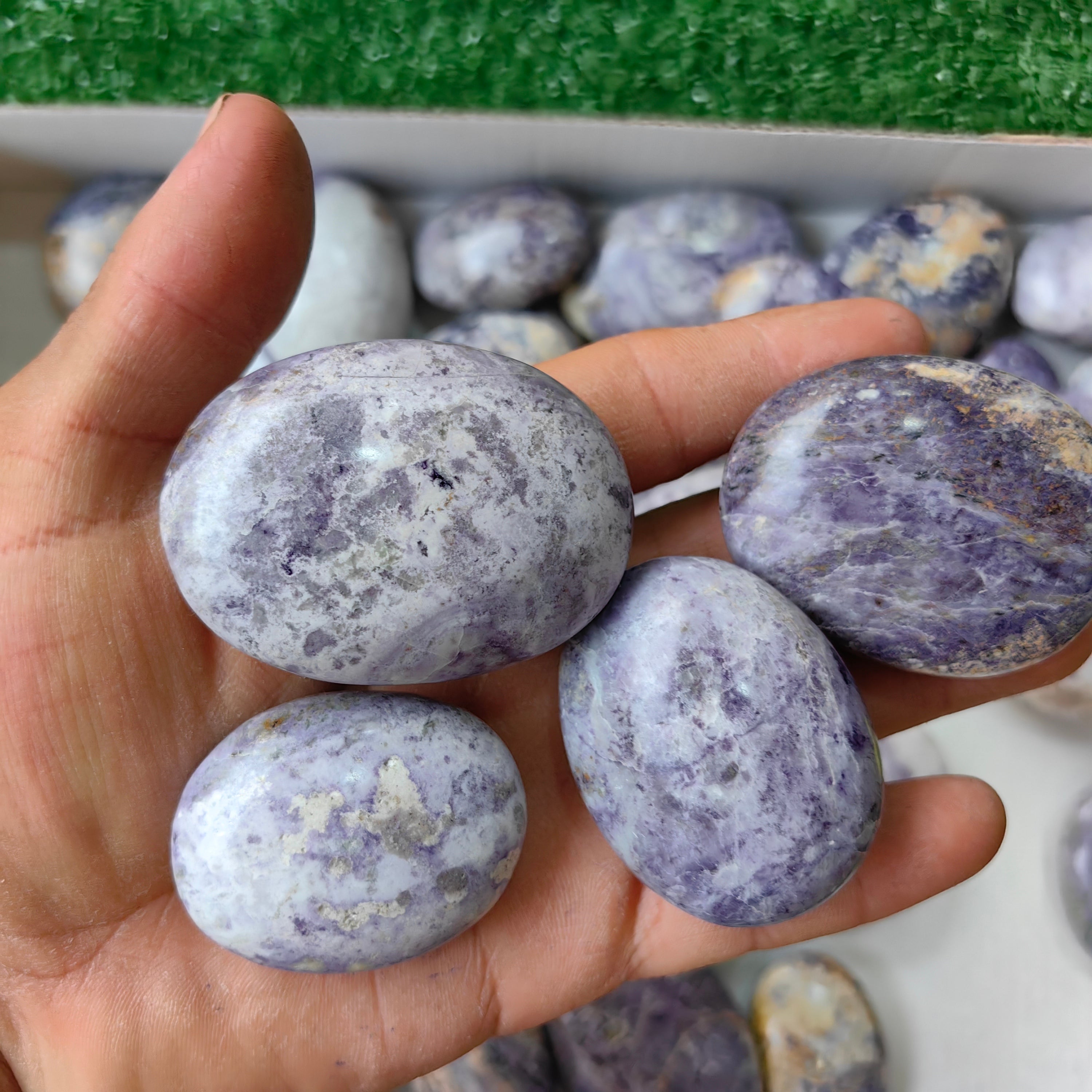 36 pc bolivianite palm
