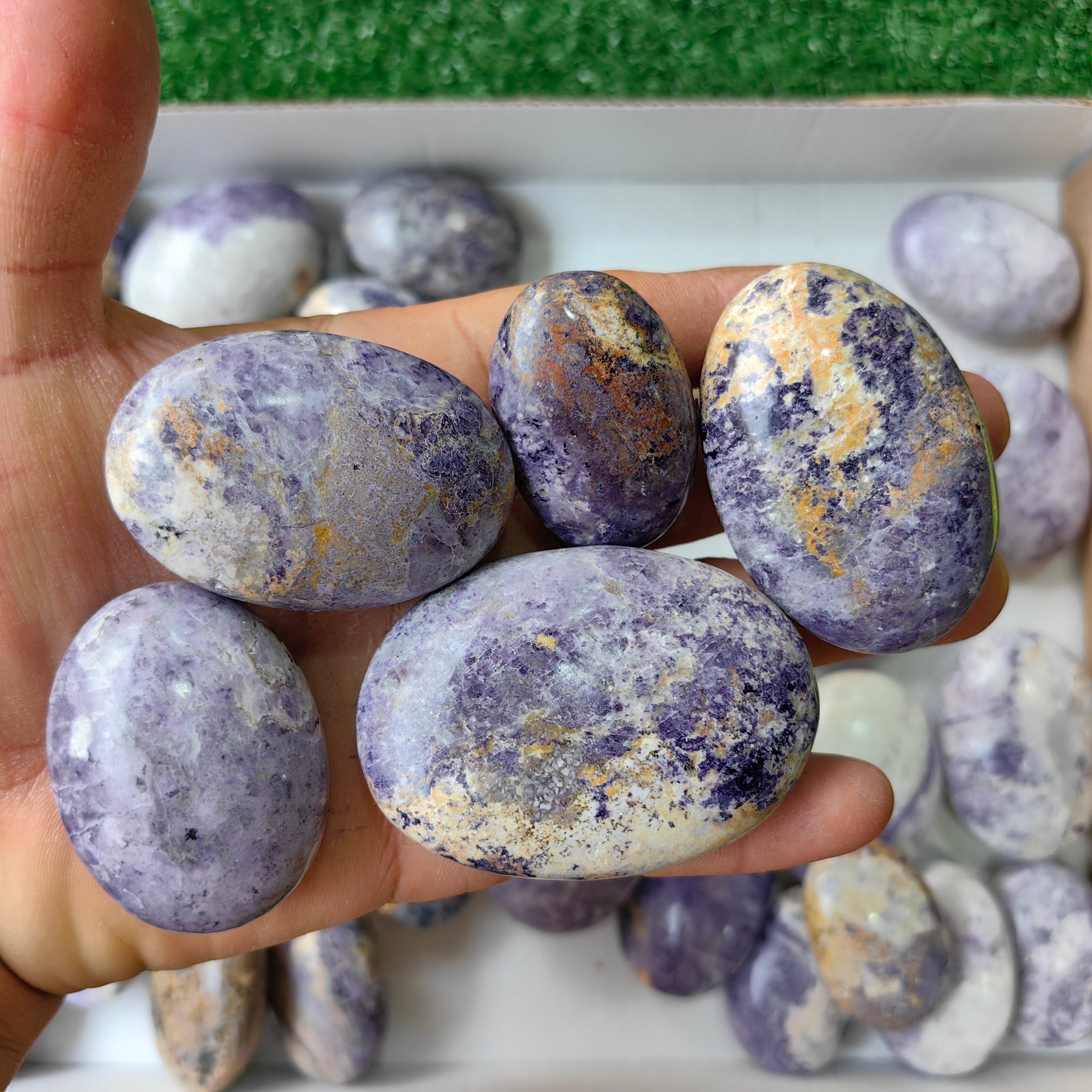 36 pc bolivianite palm