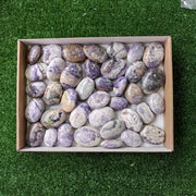38 pc bolivianite palm