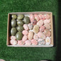 33 pc epidote & pink opal palms