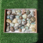 34 pc chrysocolla quartz palm & heart