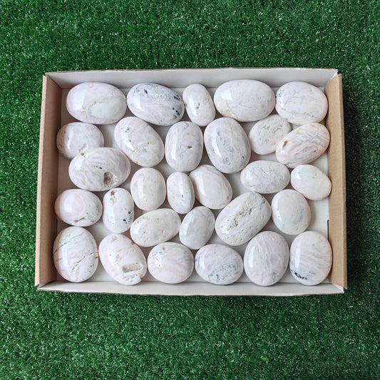 29 pc mangano calcite palms