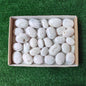 29 pc mangano calcite palms