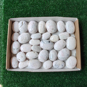 31 pc mangano calcite palms
