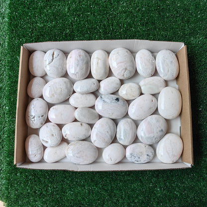 31 pc mangano calcite palms