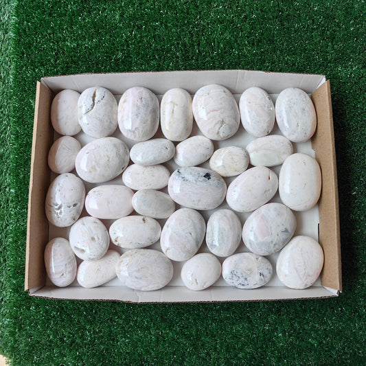 31 pc mangano calcite palms