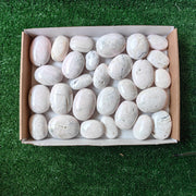 28 pc mangano calcite palms