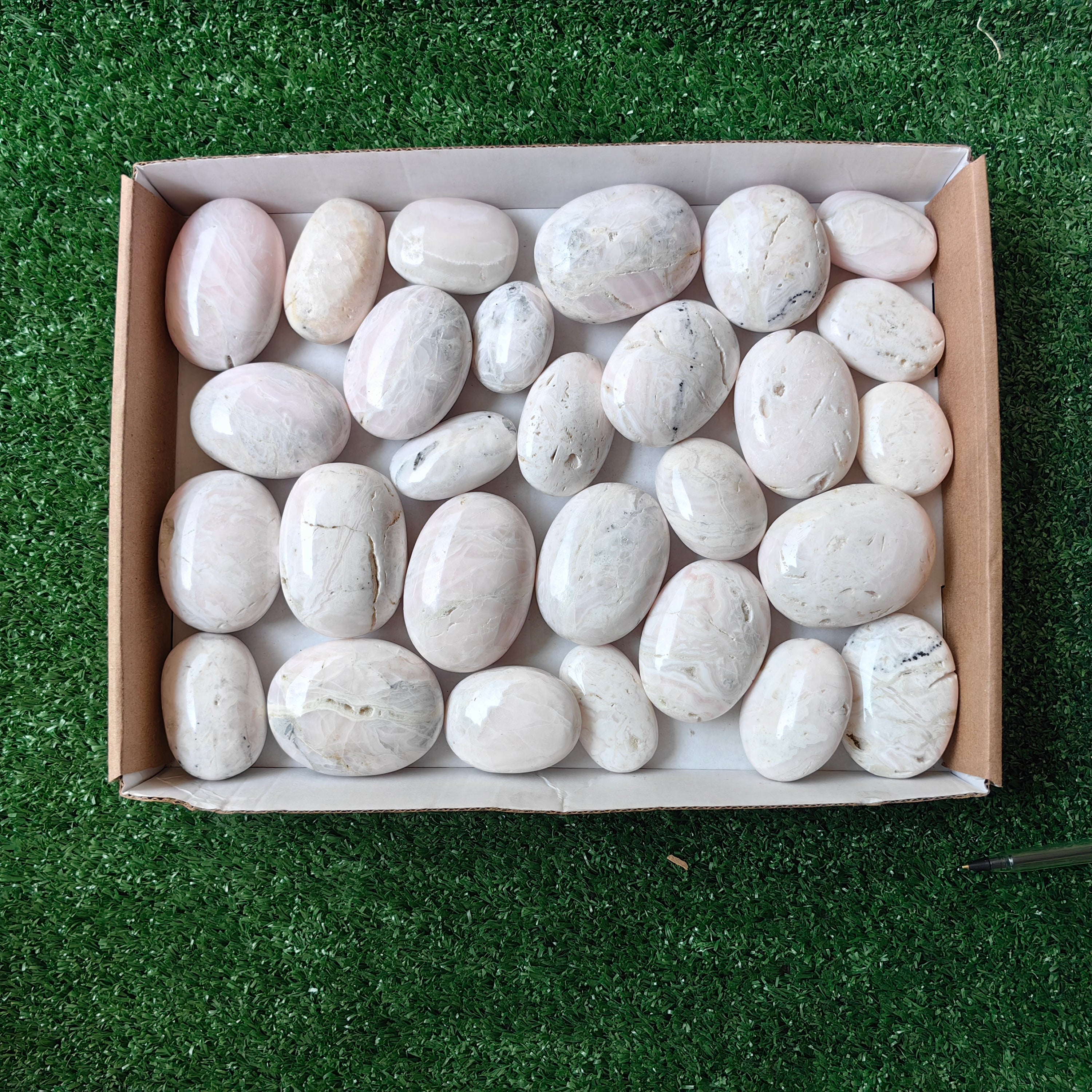 28 pc mangano calcite palms