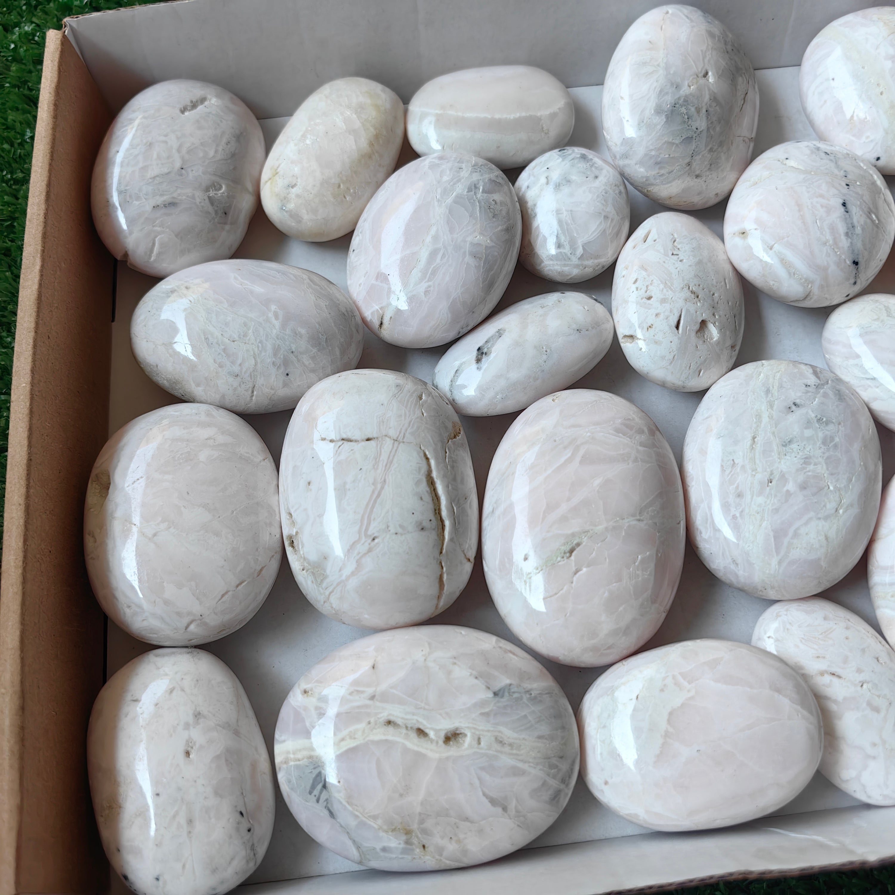 28 pc mangano calcite palms