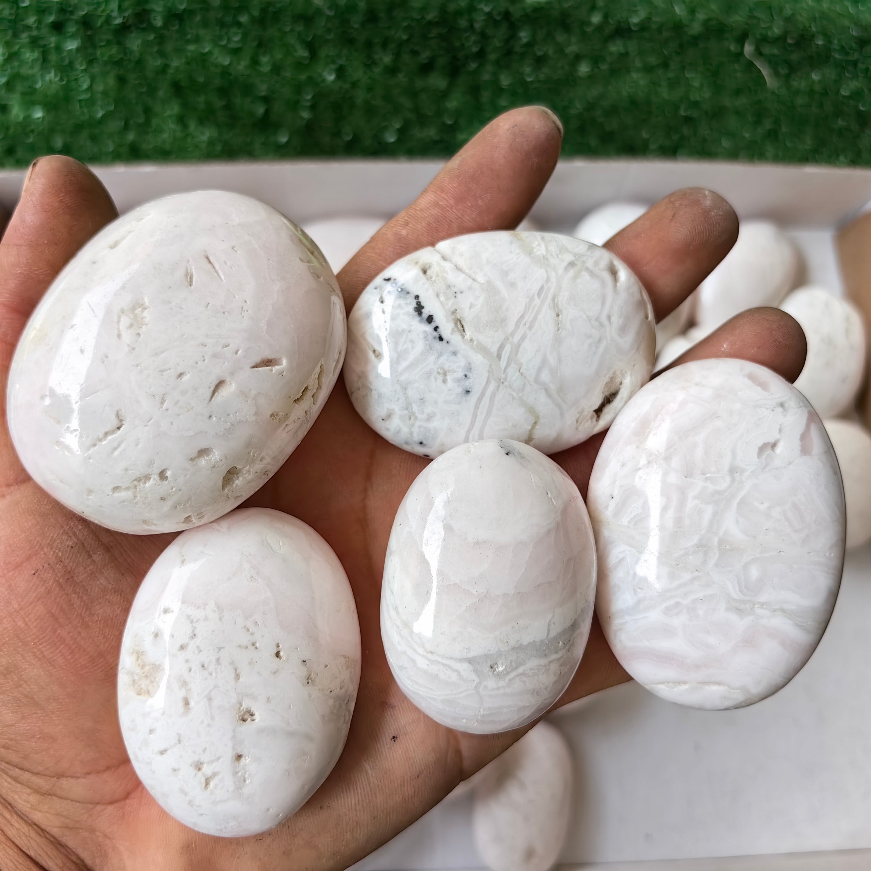 28 pc mangano calcite palms