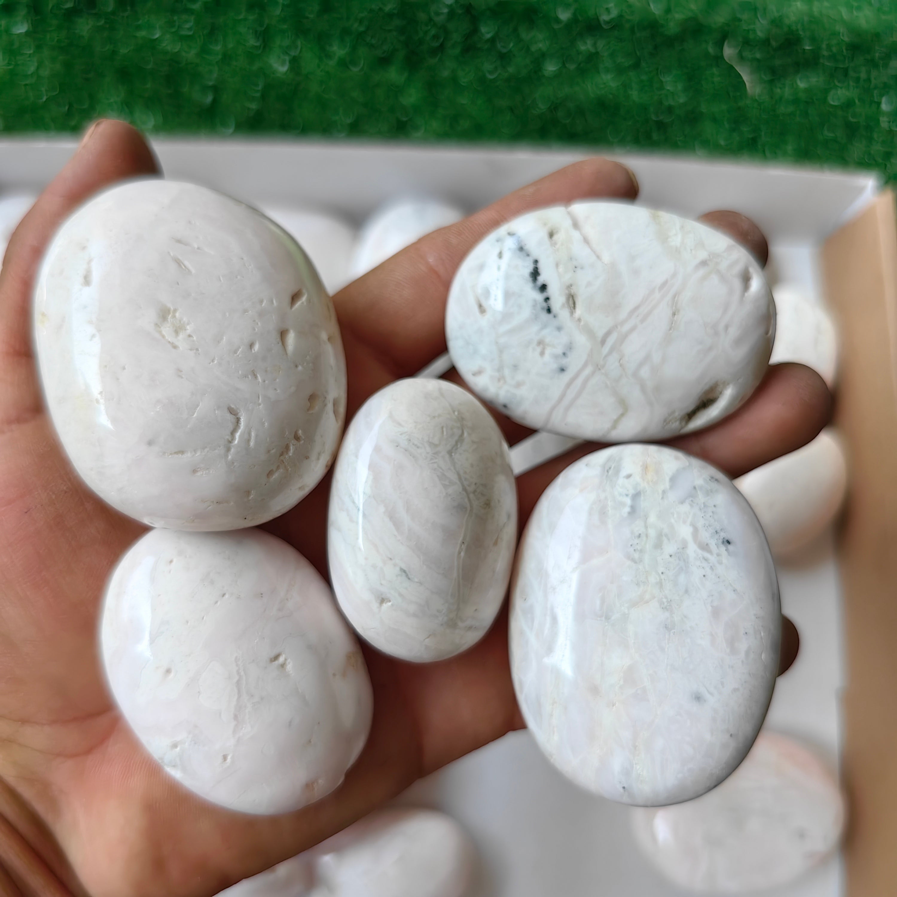 28 pc mangano calcite palms