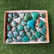 29 pc chrysocolla hearts