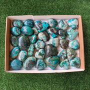 33 pc chrysocolla hearts & palms
