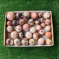 32 pc pink opal spheres