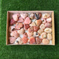 34 pc pink opal hearts & palms
