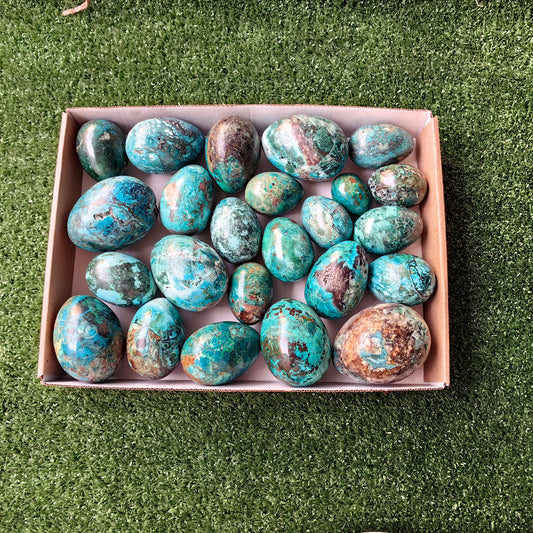 24 pc chrysocolla eggs