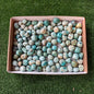 2 kg tumbled peruvian turquoise