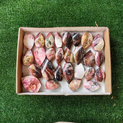 27 pc strawberry pink opal flames