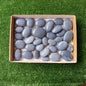 32 pc blue angelite palms